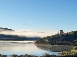 Read more about the article The unparalleled Beauty of Yellowstone and Grand Teton